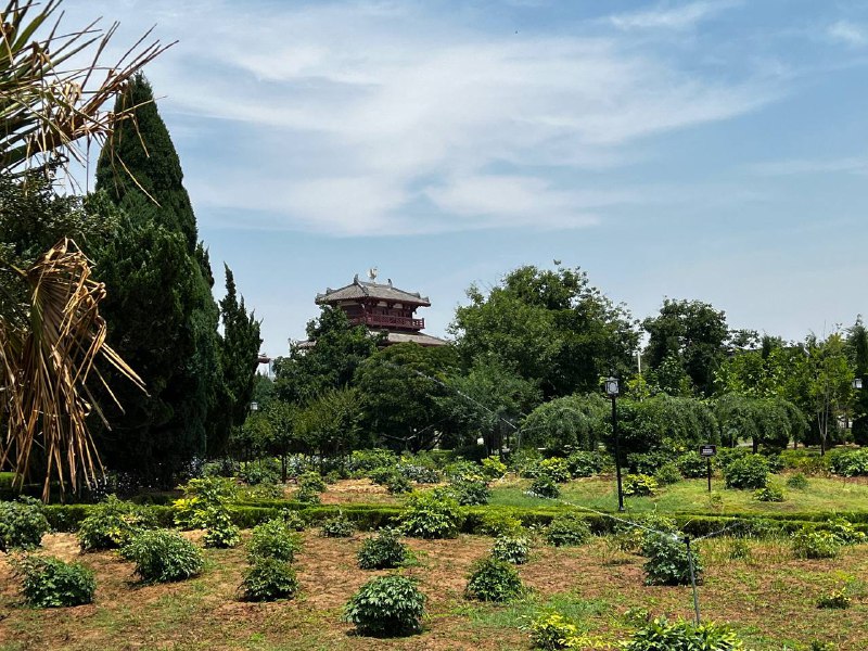 分享一下 #端午 在 #洛阳 的一些照片，那是真热啊，不过比起去年端午在 #济南 的遭遇，已经很好了，至少没有热疯了