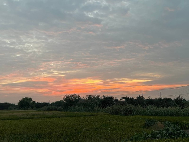 #夕阳#夕阳